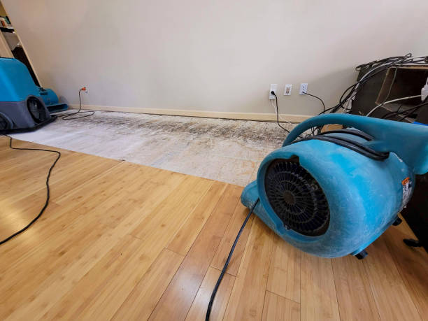 Professional Water Damage Repair technician working in Woodbridge, CA